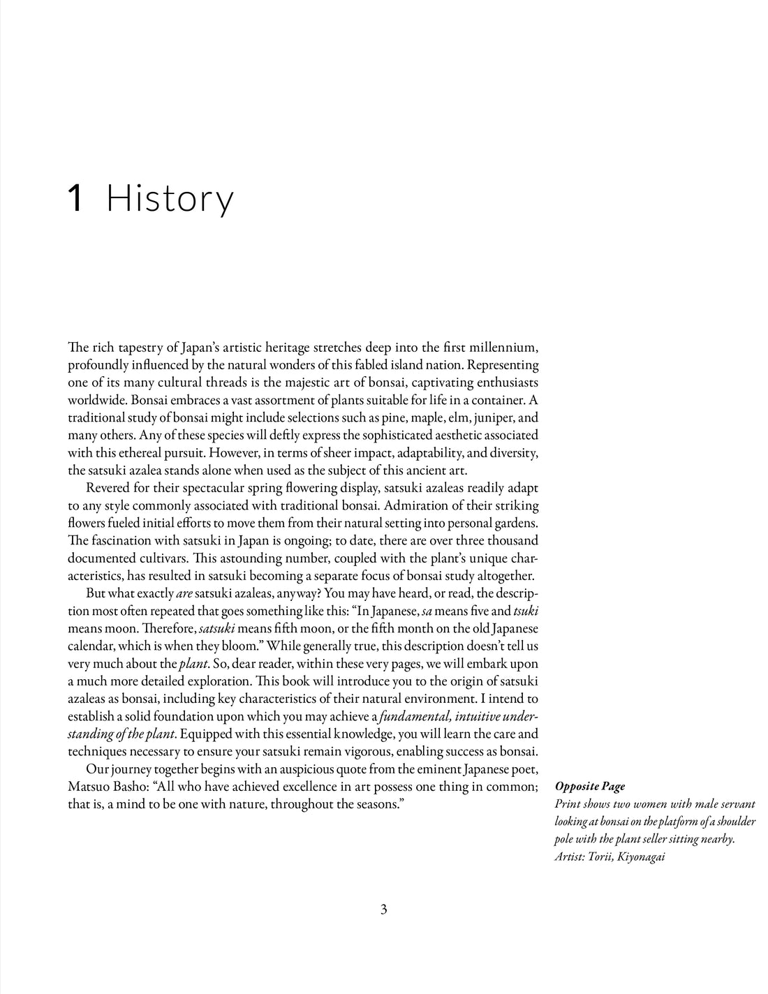 Satsuki Azalea Bonsai: A Fundamental Study - Softcover Edition