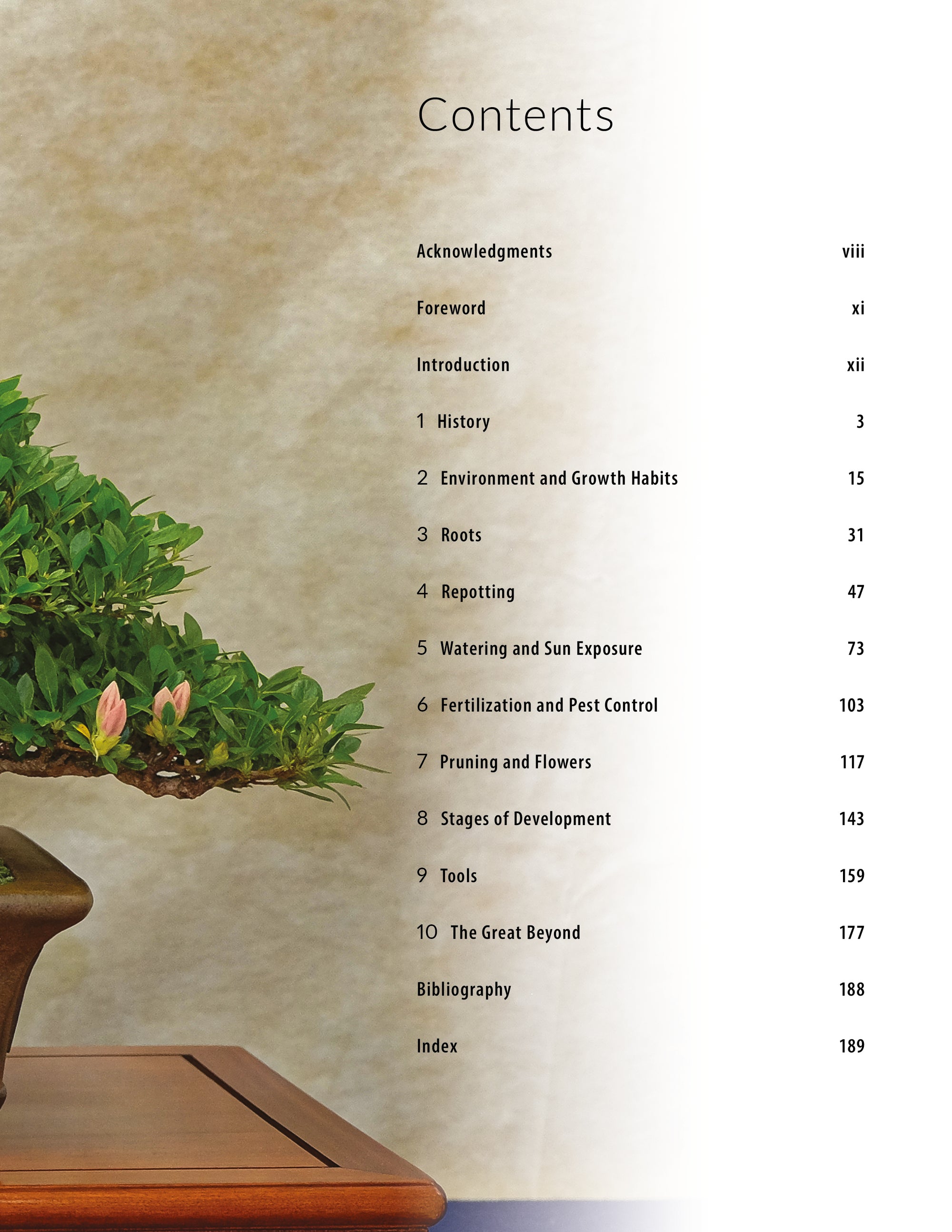 Satsuki Azalea Bonsai: A Fundamental Study - Softcover Edition