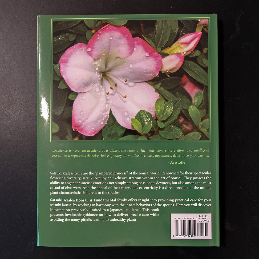 Satsuki Azalea Bonsai: A Fundamental Study - Regular Edition